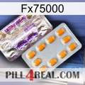 Fx75000 new12